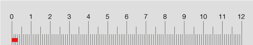 brotkaefer_lineal